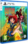 Clear River Games Fantastic Night Dreams Cotton Reboot! (PS5)
