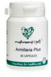 Mushrooms4Pets Armillaria Plus 60 buc