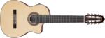 Ibanez GA3008CE NT
