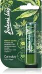 Regina Jelení lůj Cannabis ajakbalzsam kender olajjal 4.5 g