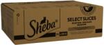 Sheba tasakos eledel, baromfi válogatás zselében, felnőtt macskáknak 72 × 85 g