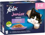 FELIX Fantastic Junior alutasakos eledel macskáknak, marhahús, csirke, szardínia, lazac aszpikban, 12 x 85 g