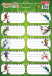 TANEX Etichete scolare 30/set fotbal tls-804 Tanex (TWTLS804)