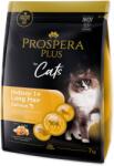 Prospera Plus Plus Indoor 1+ Salmon Long Hair 7 kg