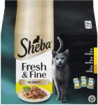 Sheba Fresh & Fine alutasakos macskaeledel felnőtt macskáknak: baromfiválogatás mártásban, 15 × 50 g