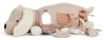  Jucarie Plus Smallstuff Activity Center Dog Rose - (40049-01)