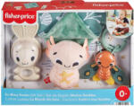 Mattel Fisher-price So Many Senses Gift Set (hrb17)
