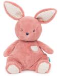 Spin Master Jucarie Plus Spin Master Baby Gund Bunny Large Plush 25cm