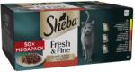 Sheba 50x50g Sheba Fresh & Fine csirke, marha & kacsa szószban nedves macskatáp