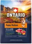 ONTARIO Krmivo Ontario Puppy Medium Lamb & Brown Rice 2, 25kg