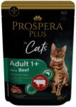 Prospera Plus Plus Adult 1+ tasak, marhahús, sárgarépa 85g