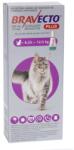 MSD Bravecto Plus Pisici Talie Mare 500mg (6.25 - 12.5 kg) pentru purici, căpușe și viermi, 1 pipetă