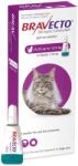 MSD Bravecto Spot-On Pisici 500 mg (6.25 - 12.5 kg) împotriva puricilor și căpușelor, 1 pipetă