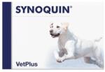 VetPlus Synoquin Large Breed Tasty, 1 tableta (* 30 tablete / cutie)