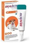 MSD Bravecto Spot-On Câini 250 mg (4.5 - 10 kg) - Soluție Antiparazitară Purici și Căpușe, 1 Pipetă