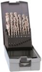 ALPEN-MAYKESTAG Set burghie HSS pentru metal și oțel Alpen-Maykestag, cutie plastic Pro (0000110325100) Burghiu