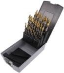 DKM Set de burghie pentru metal oţel rapid şlefuit Premium (2758-2025) Burghiu
