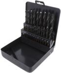 ALPEN-MAYKESTAG Set burghie metal HSS 25 buc. DIN 338 RN (0000810321100) Burghiu