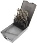 ALPEN-MAYKESTAG Set burghie metal HSS Pro 19 bucăți (0000110319100) Burghiu
