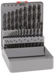 ALPEN-MAYKESTAG Set de burghie HSS pentru metal - cutie metalică 25 buc (0000101321100) Burghiu