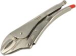 Rennsteig Clești de strângere 300mm 10. . . 65mm (160 300 5) Cleste