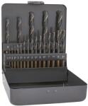 ALPEN-MAYKESTAG Set burghie HSS pentru metal Alpen-Maykestag 21 buc cod 0000810400100 (0000810400100) Burghiu