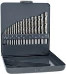 ALPEN-MAYKESTAG Set burghie metal HSS 19 buc (0000110311100) Burghiu