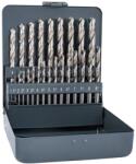 ALPEN-MAYKESTAG Set burghie metal HSS 25 buc (0000100321100) Burghiu