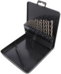ALPEN-MAYKESTAG Set de Burghie Metal HSS-E Cobalt 19 Buc (0000100619100) Burghiu