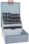 ALPEN-MAYKESTAG Set burghie metal HSS 41 bucăți (0000810361100) Burghiu