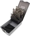 Bahco Set Burghie Metal HSS-G 25 Bucăți (4513-SET-25) Burghiu