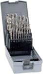 ALPEN-MAYKESTAG Set Burghie Metal HSS-E 25 Buc (0000102225100) Burghiu
