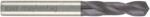 ALPEN-MAYKESTAG Burghiu metal 10mm, carbură sinterizată (0614701000100) Burghiu