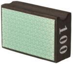 Dedra Bloc diamantat de polizat 100 FG0100 (FG0100)
