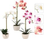 CHOMIK Floare Artificială - Mix De Orchidee 3 Culori 43 Cm 1 Buc (ch-hid4801)