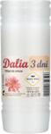 CHOMIK Set de 10 bucăți de inserturi din parafină DALIA 15CM/72H *3033*0214 (CH-ZOZ3033)