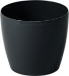 Chomik Culoare Magnolia Pentru Ghiveche 155 Mm Neagră*42029 (ch-lam42029)