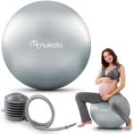 Nukido Minge aerobic pentru gravide 65 cm NS-951 gri (J-195103) Minge fitness