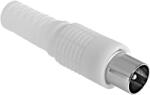 CABLETECH Conector de antenă lung alb Cabletech (L-WTY0252-1)