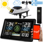 Berdsen Stație meteorologică cu senzor de vânt și ploaie BD-914 negru (J-391400)