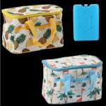 Garden Line Sac termic 25 x 17 x 17 CM 6L, cufer mix 2 modele cu două inserții de răcire *9264 (CH-IZO9264)