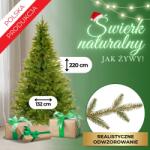 SPRINGOS CT0206 MOLID NATURAL 220 CM (CT0206)