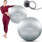 Neo-Sport Minge fitness 75 cm NS-952 argintie + pompă (NS-952) Minge fitness