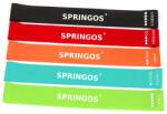 Springos Benzi de exerciții 5 buc PB0012 (PB0012)