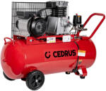 Cedrus KM100