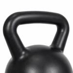FD Kettlebell fitness 2 kg, mâner ergonomic, plastic/ciment (8594214031094)