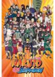 Grupo Erik Naruto Shippuden: Characters - Poszter (GPE6022)