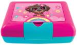 S-Cool Cutie sandwich compartimentata S-COOL SC3408, 900 ml, Motiv happy rainbow (SC3408)