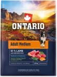 ONTARIO Adult Medium Lamb & Brown Rice 2, 25 kg