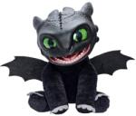 How To Train Your Dragon Toothless (100101hd)